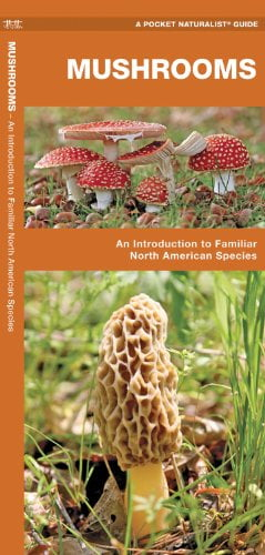 Pocket Naturalist Guides: Mushrooms: An Introduction to Familiar North American Species (Other)