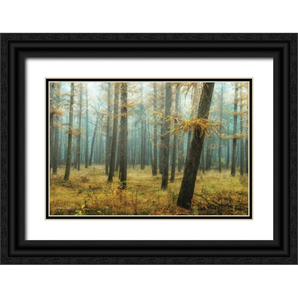 Podt, Martin 24x17 Black Ornate Wood Framed with Double Matting Museum Art Print Titled - Holterberg in the Mist