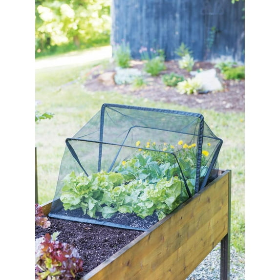 Gardener's Supply Company Pop-Up Bird & Pest Garden Netting