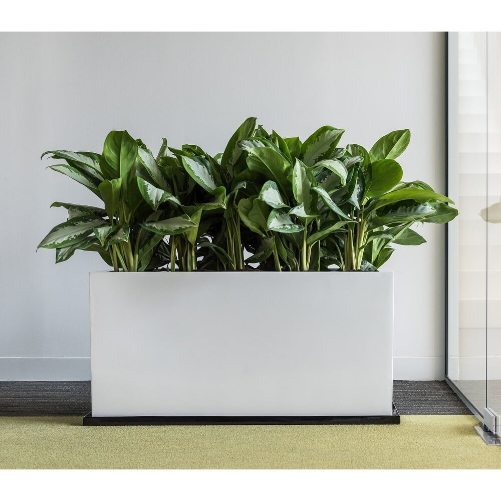Pottery Pots USA Inc. Pottery Pots Jort Small Fiberstone Indoor Outdoor Modern Rectangle Planter, 16 Inch Tall White 32"
