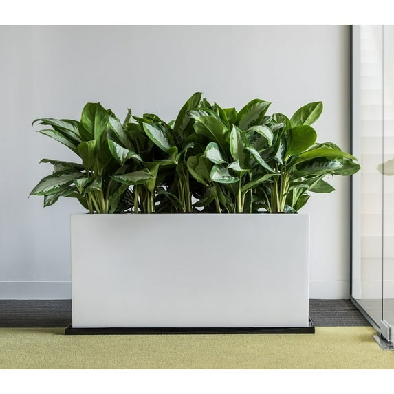 Pottery Pots USA Inc. Pottery Pots Jort Small Fiberstone Indoor Outdoor Modern Rectangle Planter, 16 Inch Tall White 32"