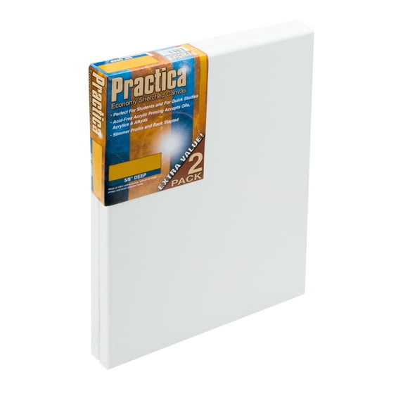 Practica Economy Stretched Cotton Canvas 2 Packs - Acid-Free Acrylic Primed Canvas for Acrylics, Pastels, Graphite, & More!