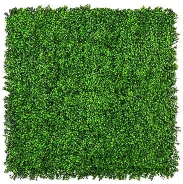 Designer Plants USA Artificial Boxwood Wall 40" x 40" Artificial Greenery Panel