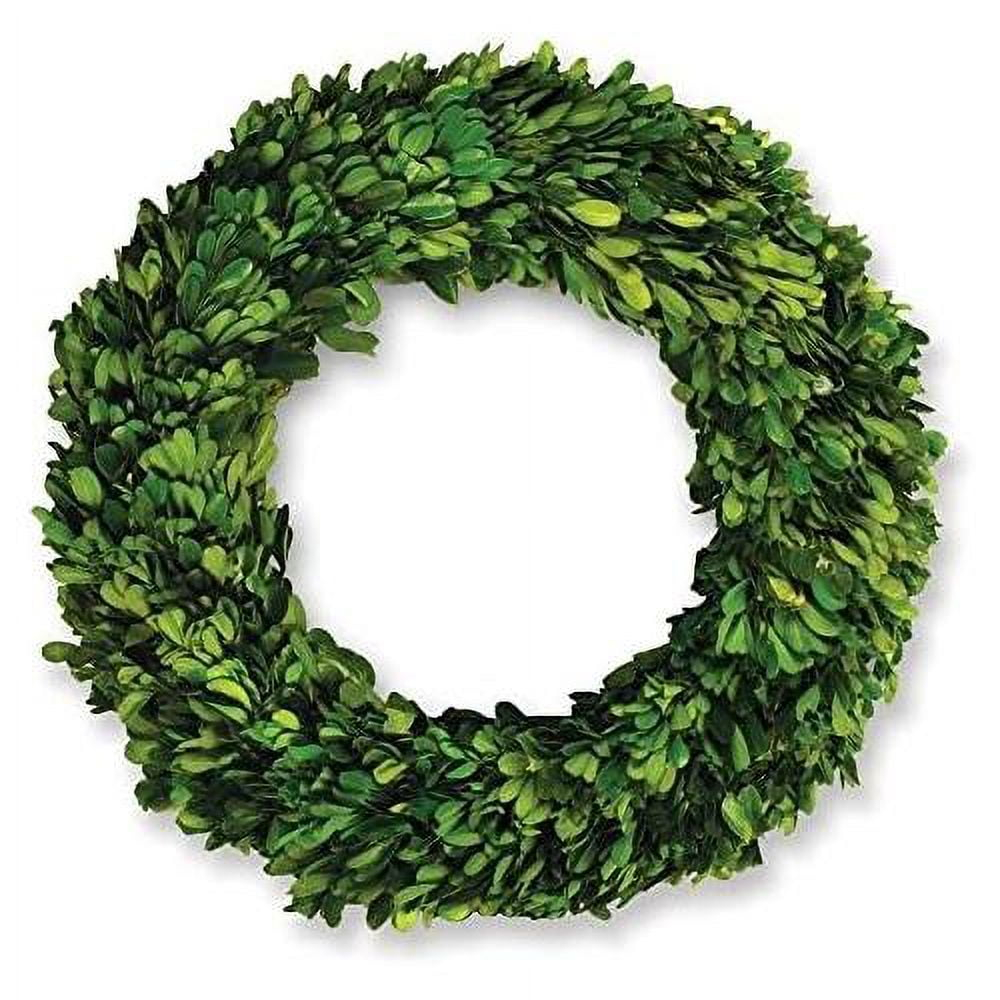 Plum & Post Boxwood Wreath 12"