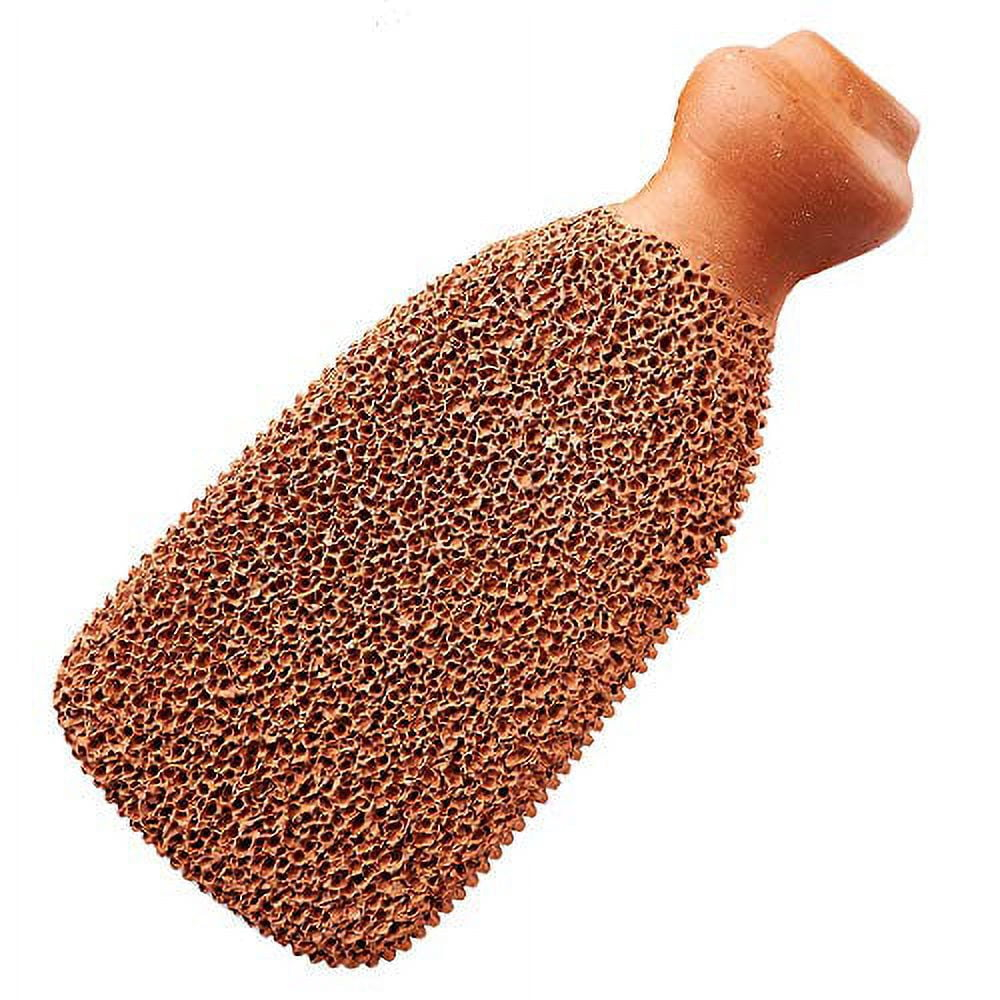 Gilden Tree Foot File, Lasts 5+ Years, Callus Remover Pumice Stone Scrubber for Feet