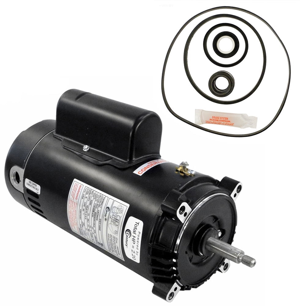 Puri Tech Replacement Kit for Hayward Max-Flo 2HP Motor, 1 Pack