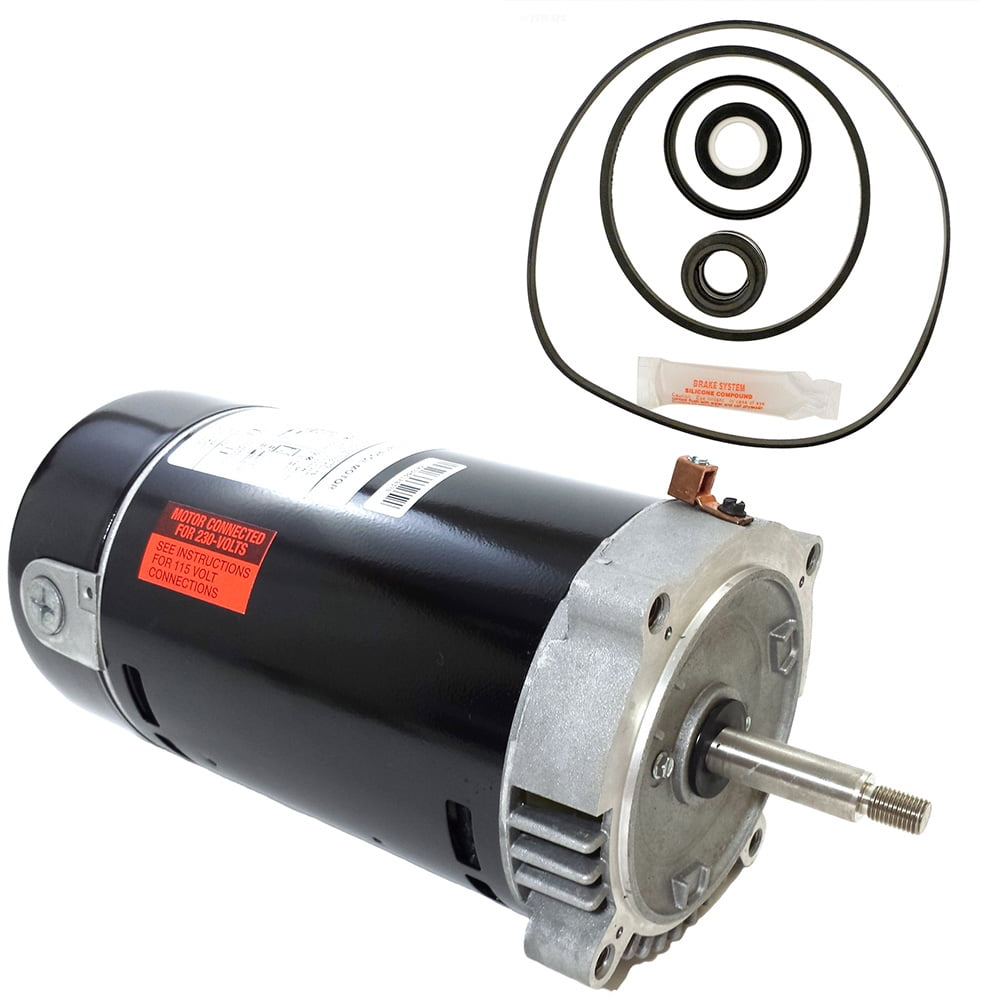 Puri Tech Replacement Motor Kit for Hayward Max-Flo 1HP SP2807X10 AO Smith UST1102 Motor w/ GO-KIT-1