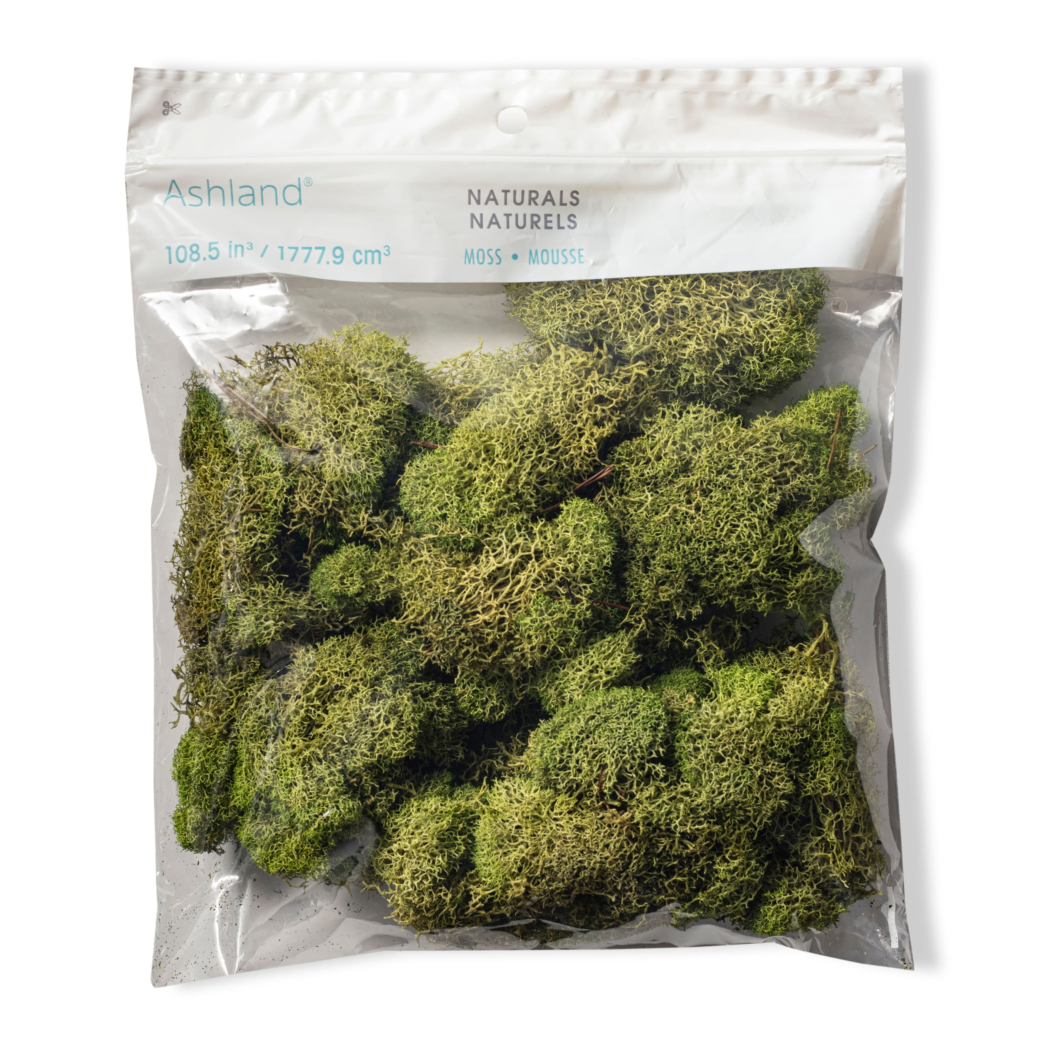 Quality Growers Preserved Reindeer Moss 108.5 Cubic Inches-Spring Green
