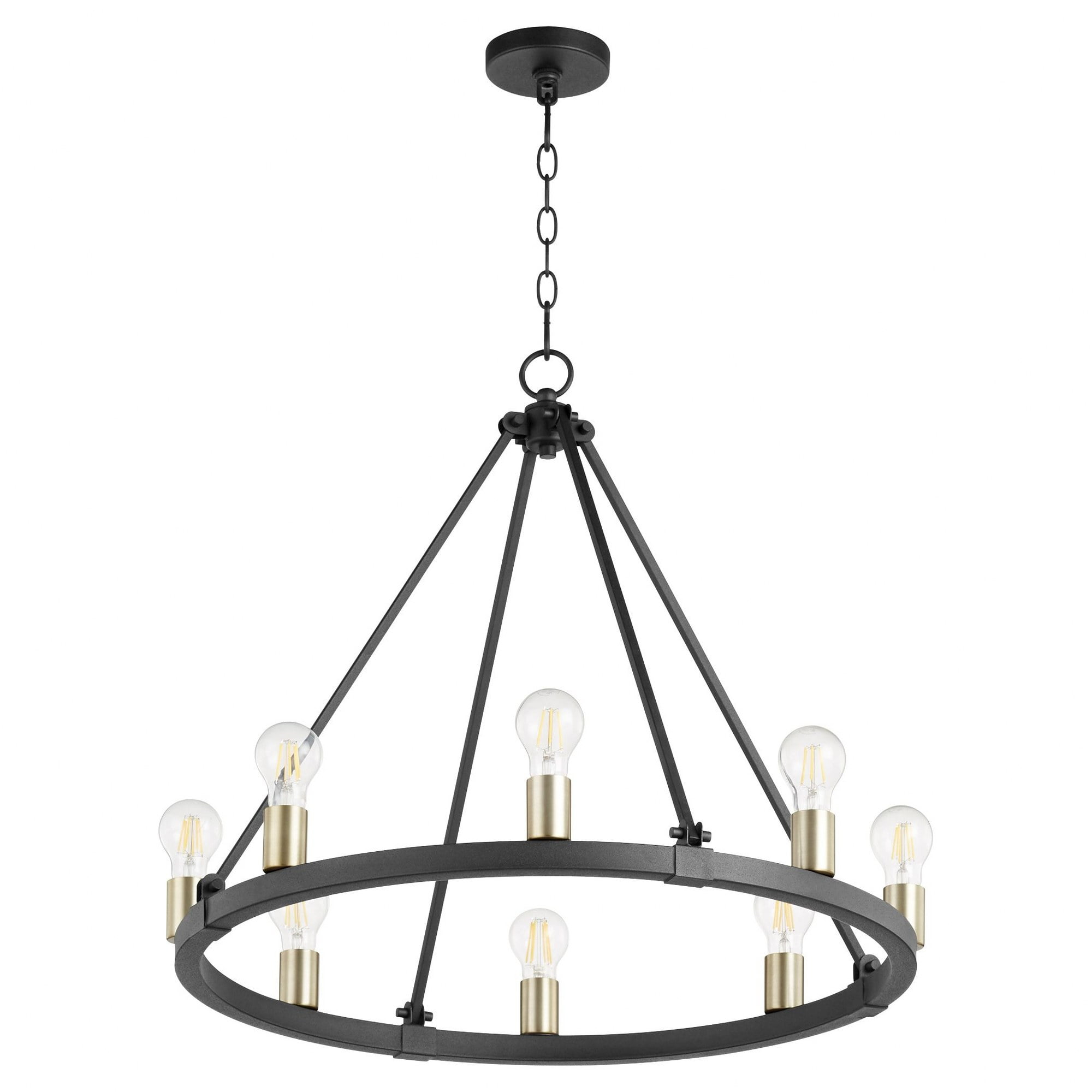 64-8-6980-Quorum Lighting-Paxton - 8 Light Chandelier in style - 27 inches wide by 24 inches high-Noir/Aged Brass Finish    -Traditional Installation