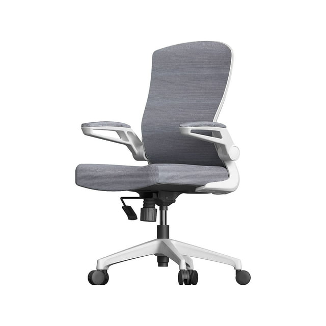 RAYNOR GROUP ION Fabric Task Chair Gray/White (ION-WH-GRY)