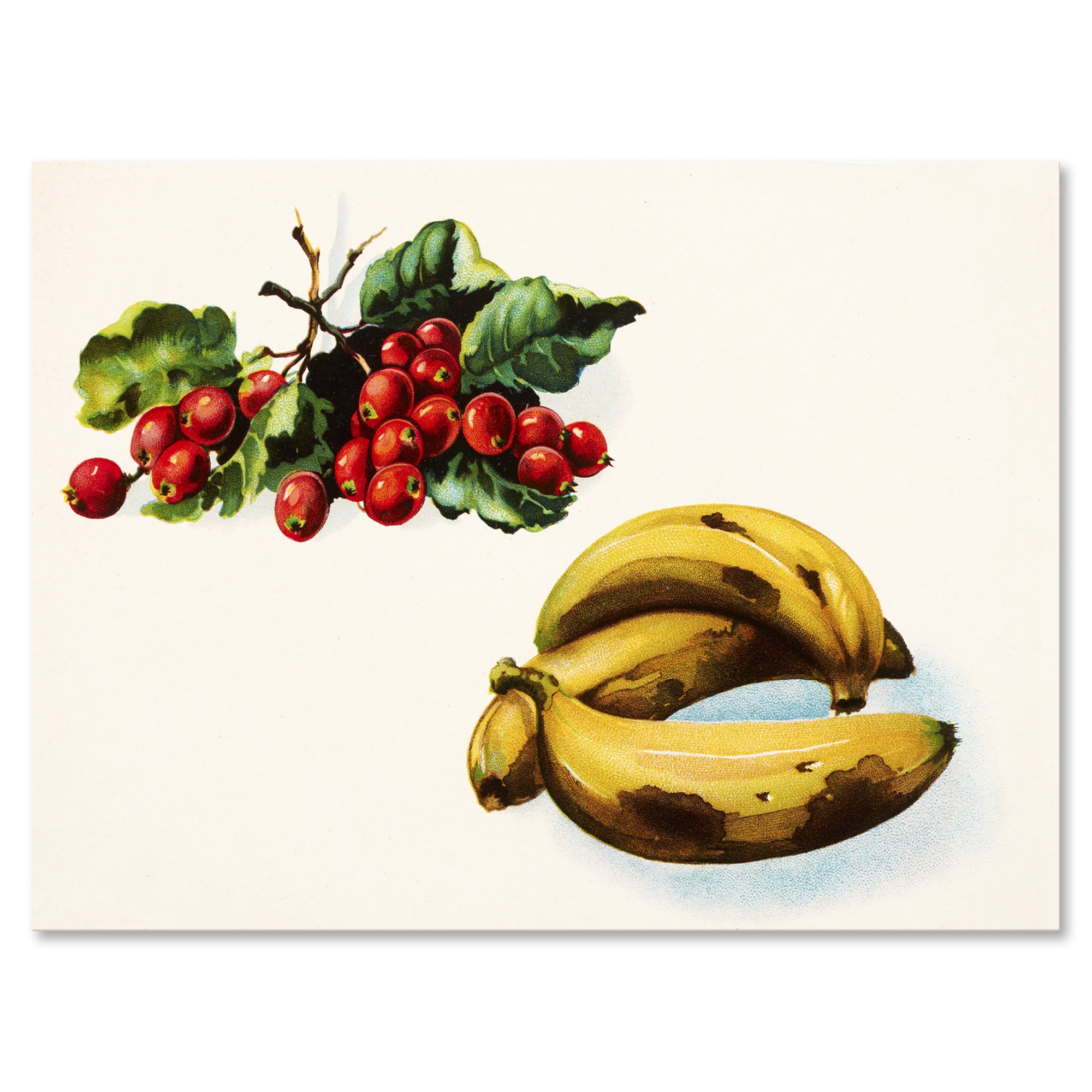 Red Berries and Banana 32 in x 24 in Painting Canvas Art Print, by Designart