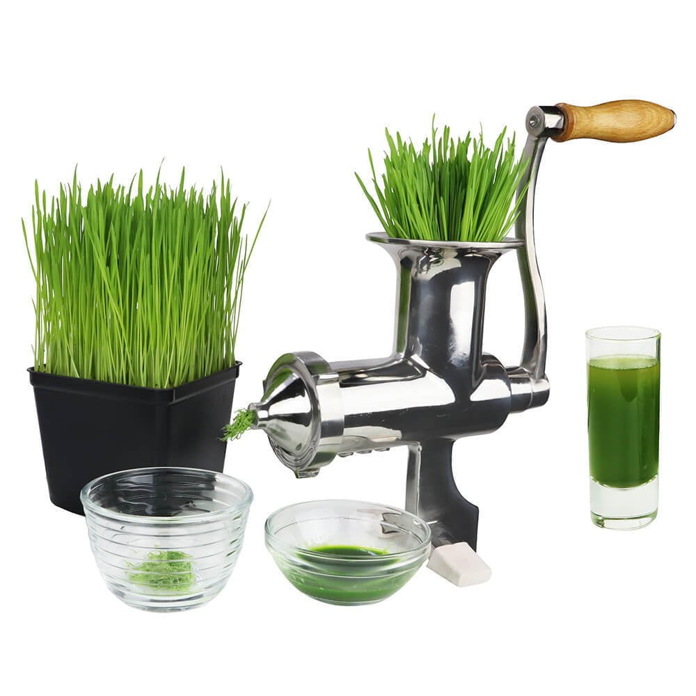 Roots & Harvest Wheatgrass Juicer, Stainless Steel, Small