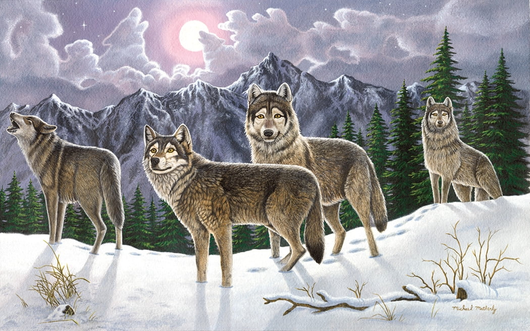 Royal Brush Adult Painting by Numbers Kit, Wolves