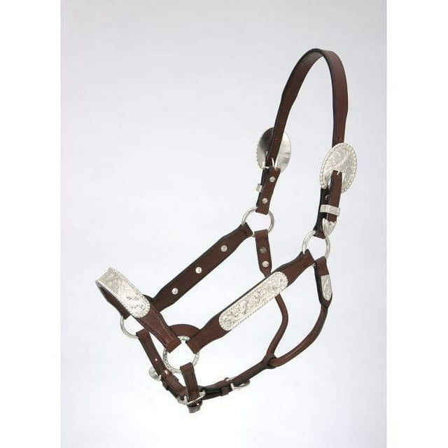 Royal King Congress Show Halter Weanling