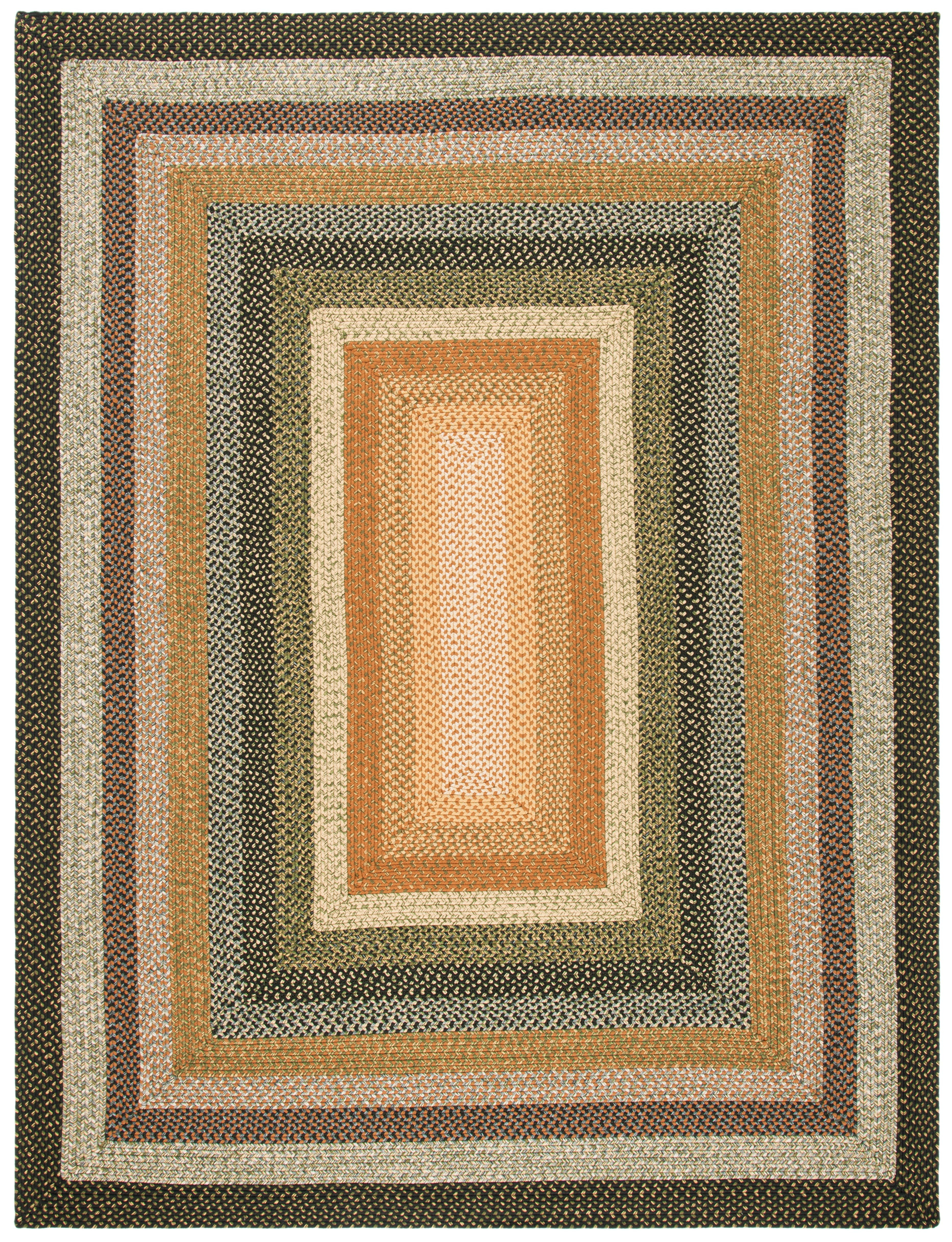 SAFAVIEH Braided Ellen Bordered Machine Washable Reversible Area Rug, Multi, 9' x 12'