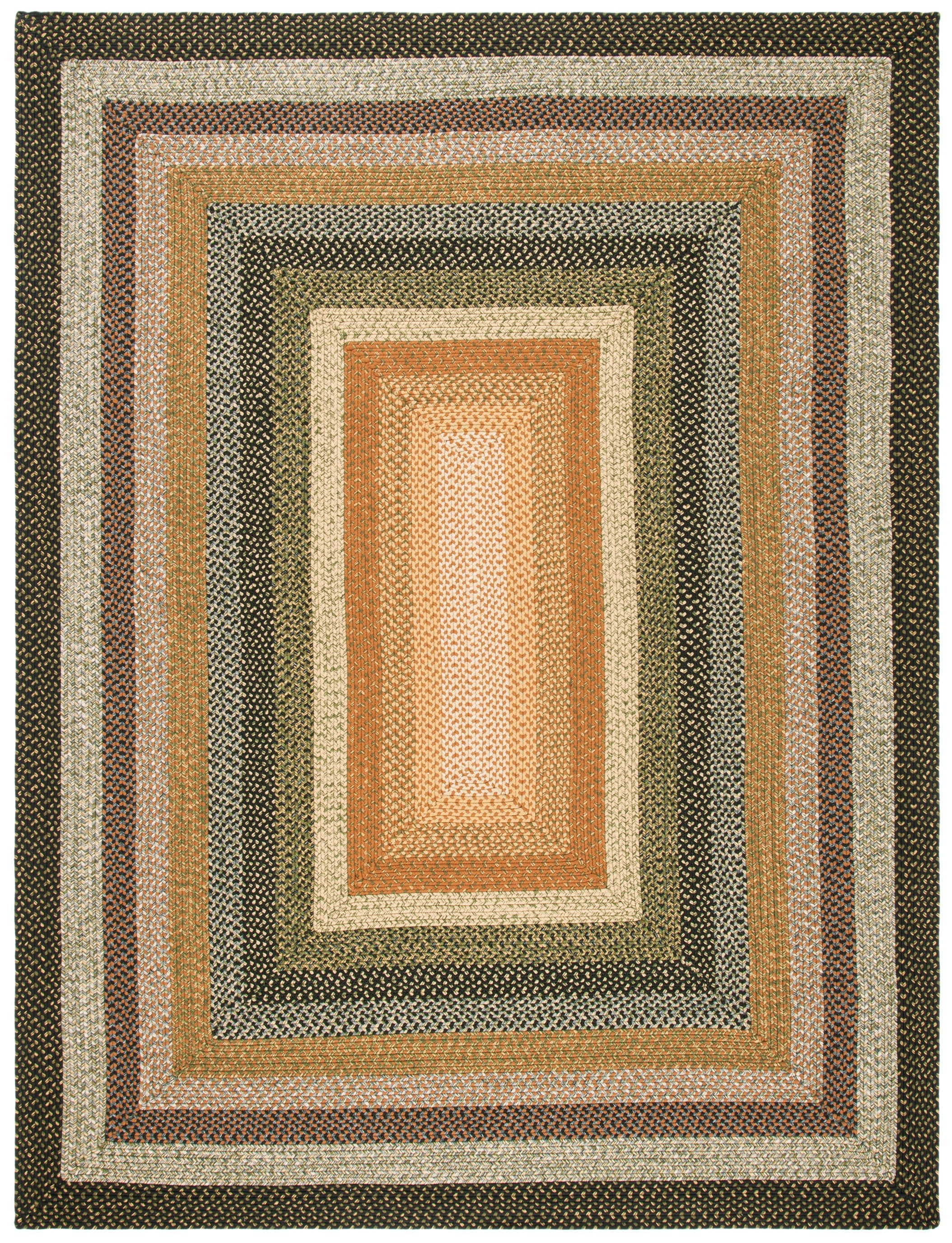 SAFAVIEH Braided Ellen Colored Bordered Area Rug, Blue/Multi, 10' x 14'