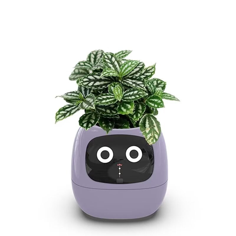SENIURIS Ai Smart Planter, Intelligent Multiple Pets Like Expressions Flowerpots with Sensors, Smart AI Chips Make Rasising Plants Easy and Fun for Living Room. (Purple)
