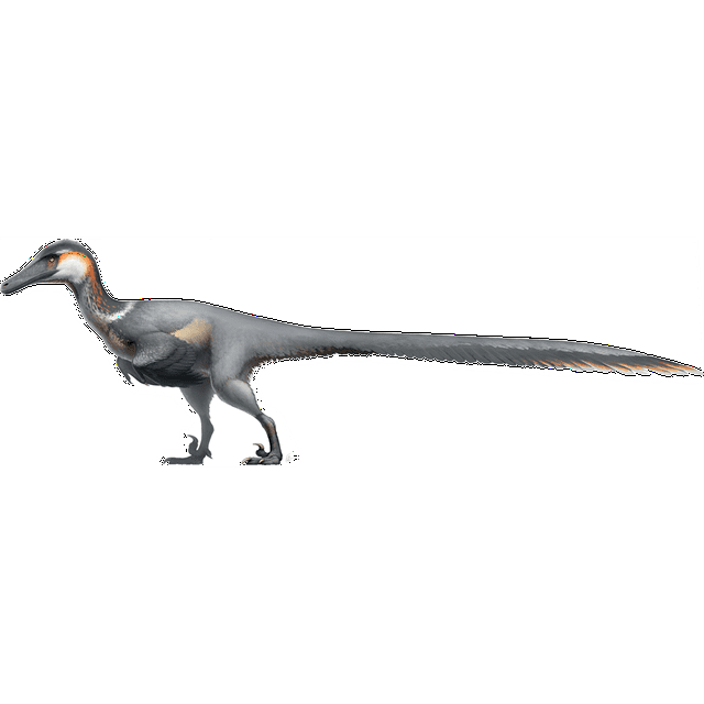 Austroraptor Realistic Bird-like Velociraptor Cardboard Standup
