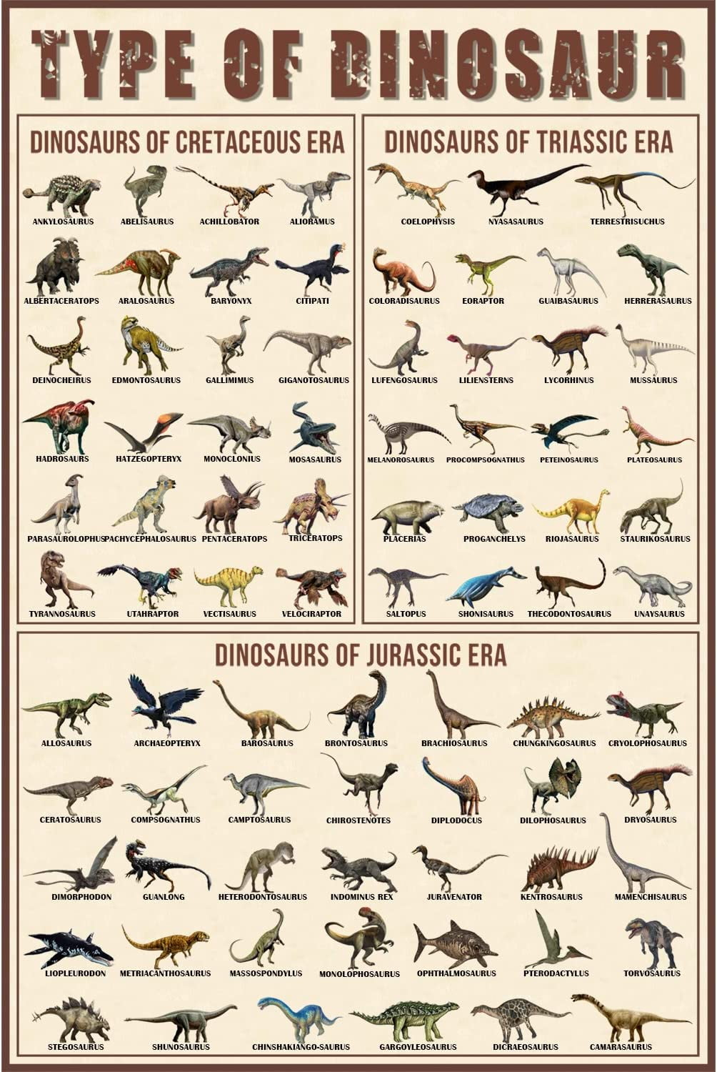 Educational Dinosaur Poster for Kids - 18x12 inches