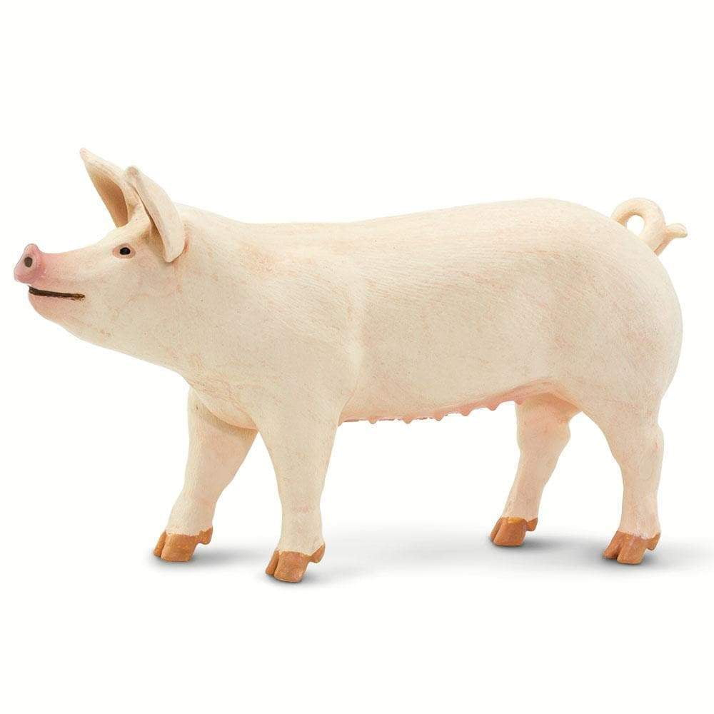 Safari Ltd. Large White Pig - Realistic 4" Farm Animal Figure - Educational Toy for Boys, Girls, & Kids Ages 3+