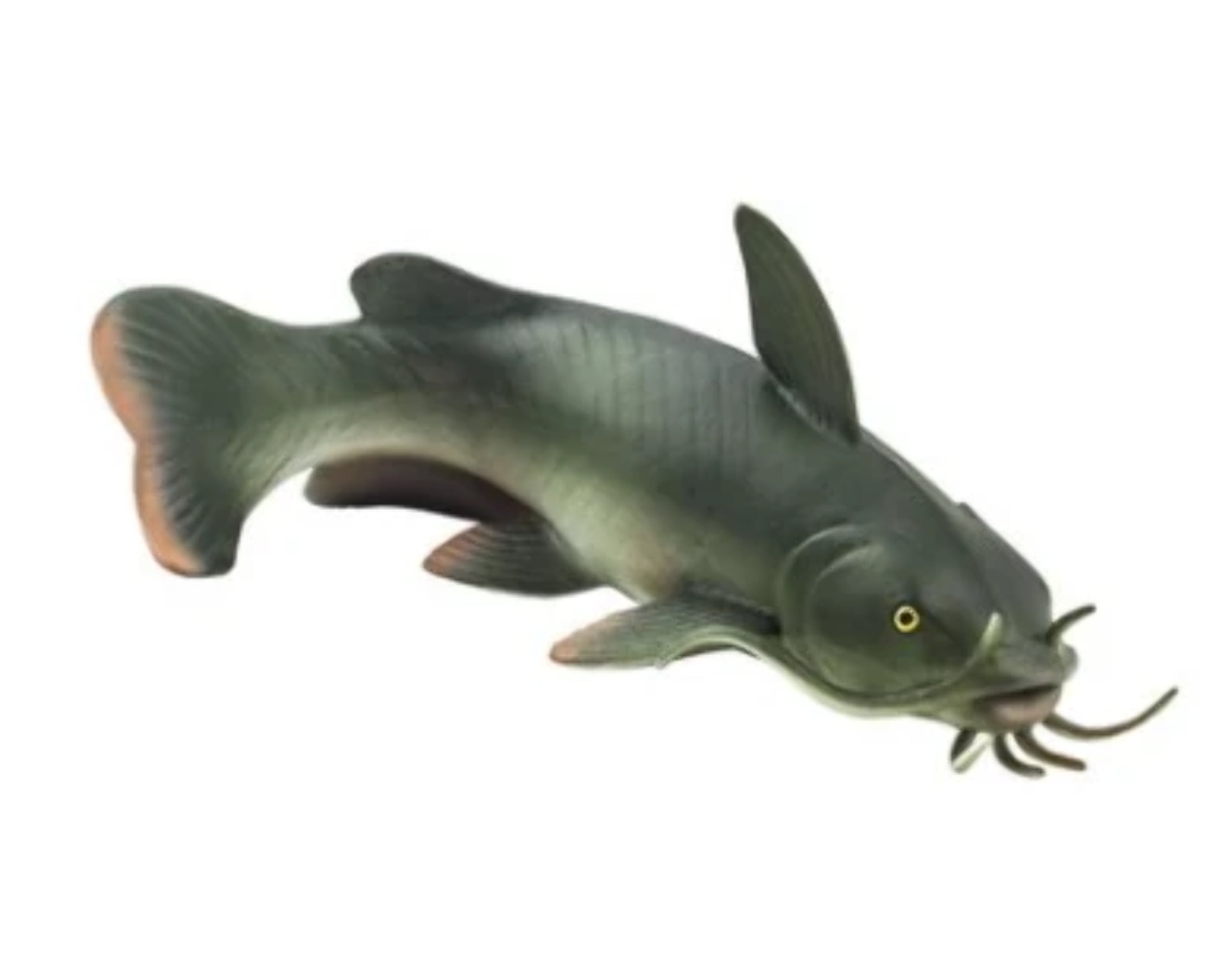 Safari Ltd. Catfish Figurine - Realistic 6" Fish Figure - Educational Toy for Boys, Girls, and Kids Ages 3+