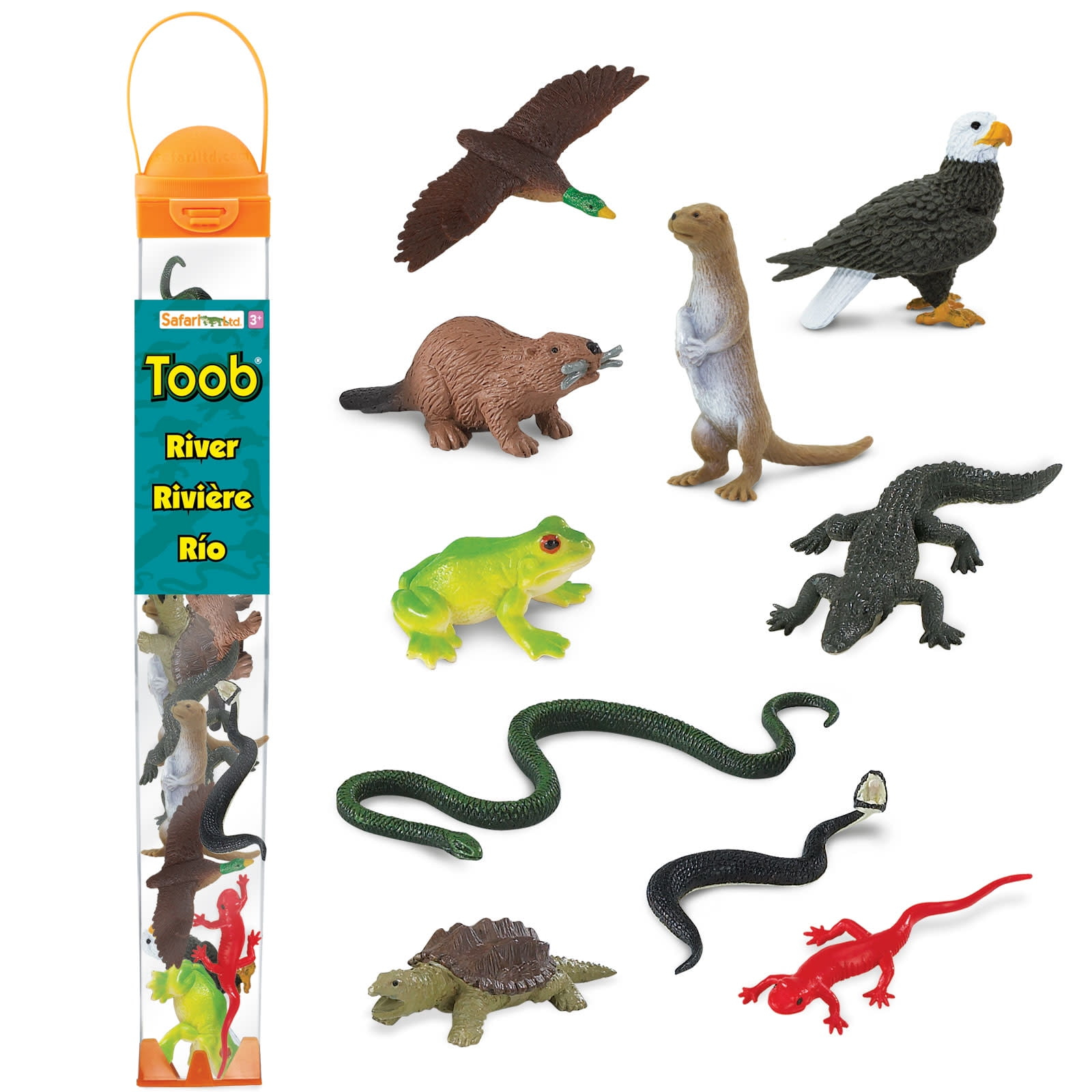Safari Ltd. River Ecosystem TOOB - Figurines of Bald Eagle, Beaver, Alligator & More - Fun Educational Play Toy for Boys, Girls & Kids Ages 3+