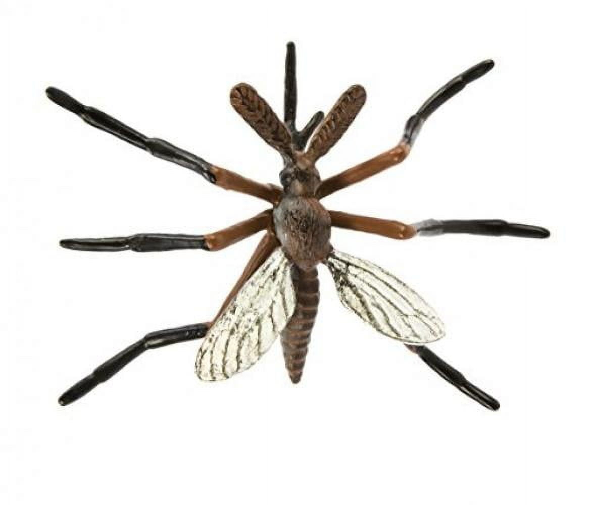 Safari Ltd. Safariology: Life Cycle of a Mosquito