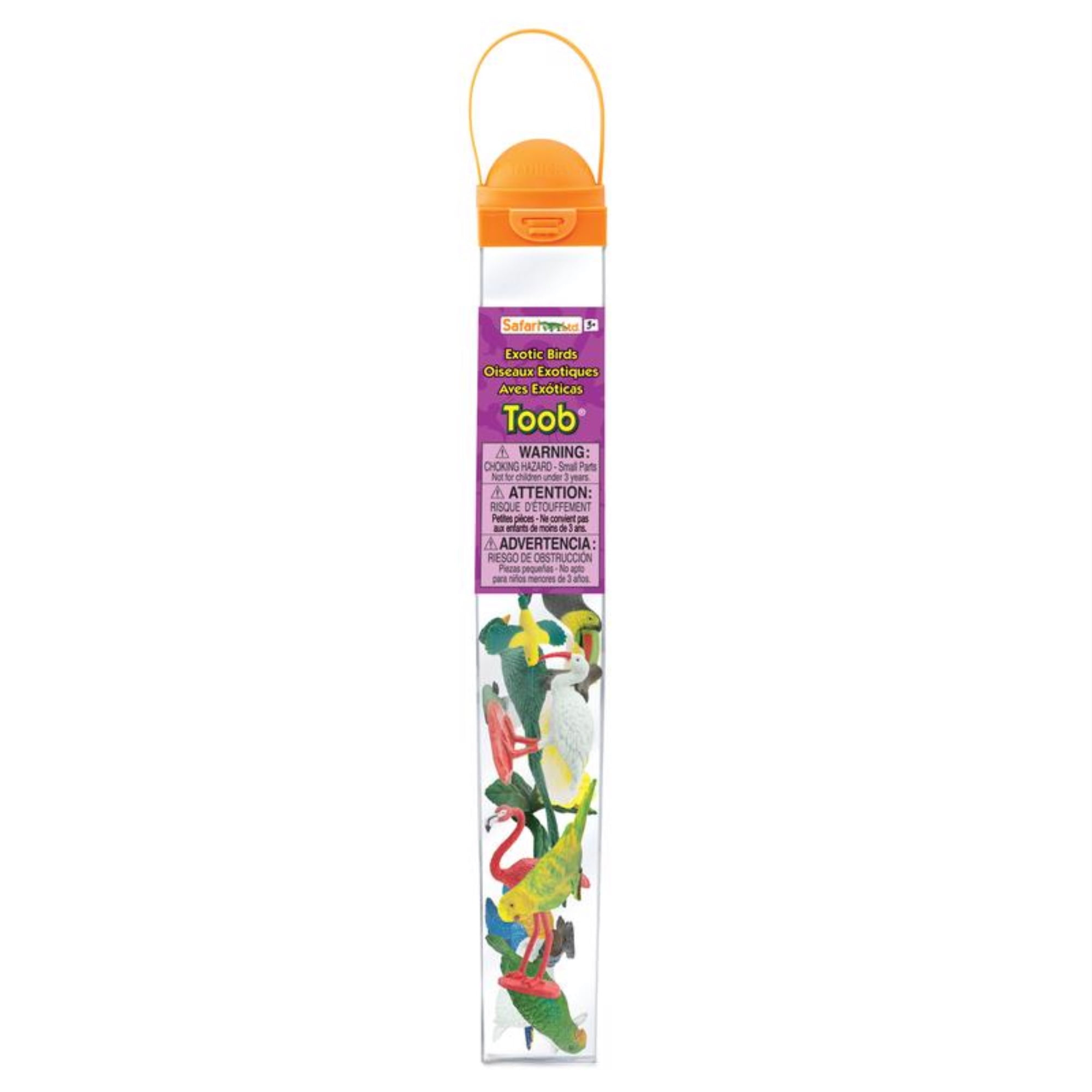 Safari Ltd. Exotic Birds TOOB - 10 Figurines: Parakeet, Quetzal, Macaw, Hummingbird, Toucan, Cockatoo, Flamingo, Snowy Owl, Parrot - Educational Toy Figures For Boys, Girls & Kids Ages 3+