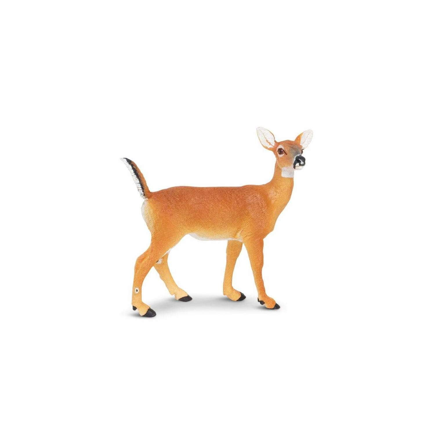 Safari Ltd. Whitetail Doe Figurine - Lifelike 4.3" Model Figure - Educational Toy for Boys, Girls, and Kids Ages 3+