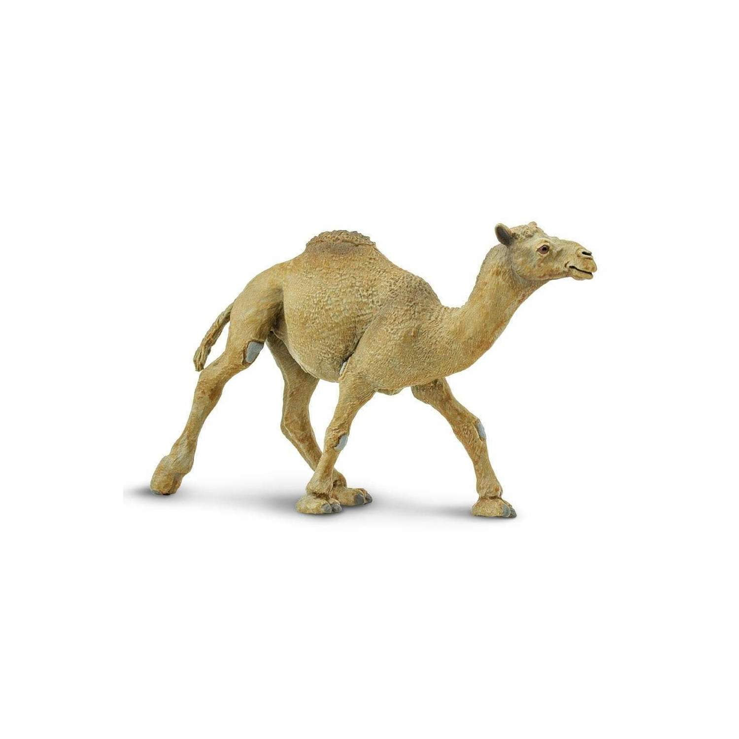Safari Ltd. Dromedary Camel Figurine - Lifelike 5.75" Model Figure - Educational Toy for Boys, Girls, and Kids Ages 3+