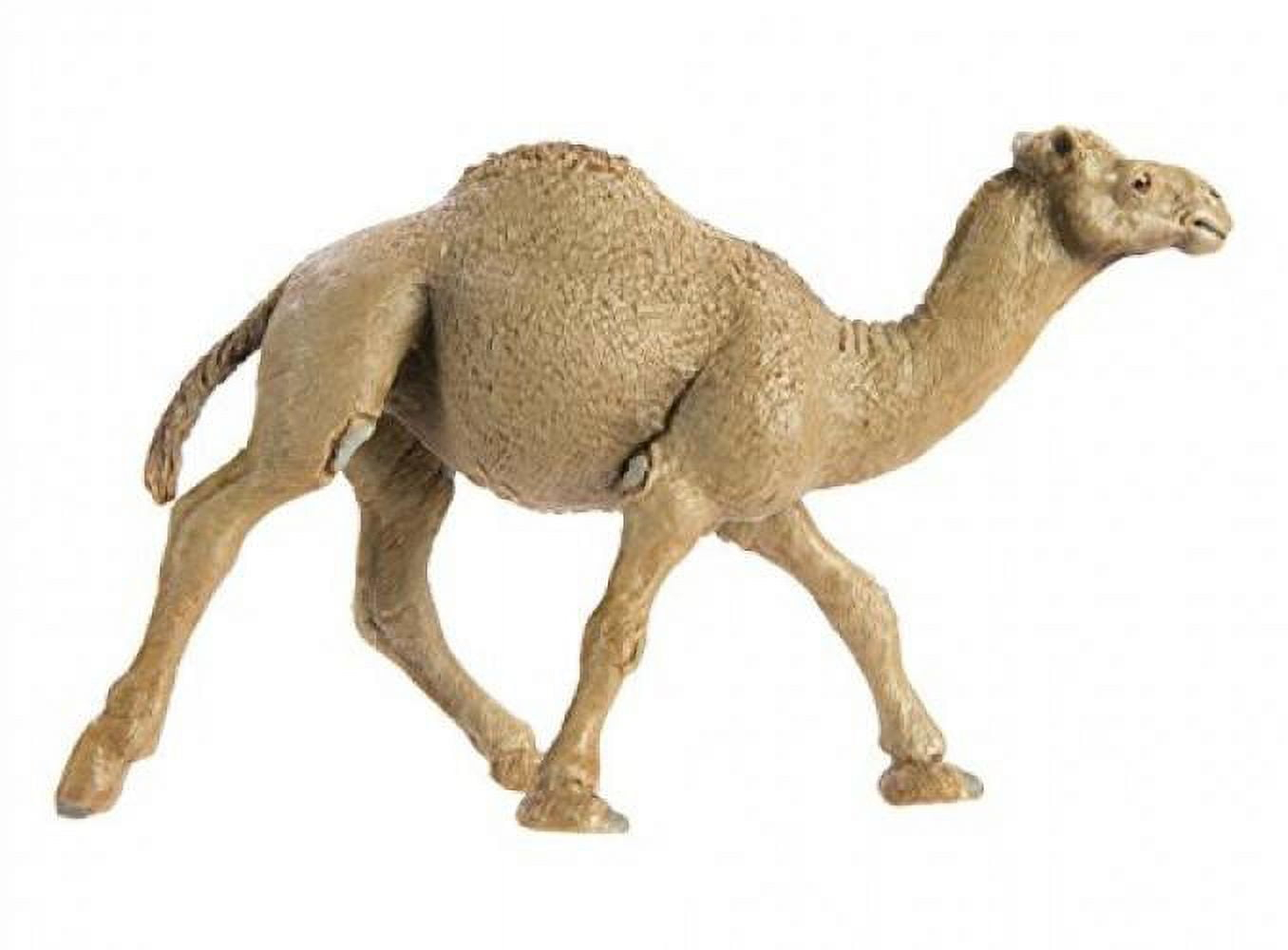 Safari Ltd. Dromedary Camel Figurine - Lifelike 5.75" Model Figure - Educational Toy for Boys, Girls, and Kids Ages 3+