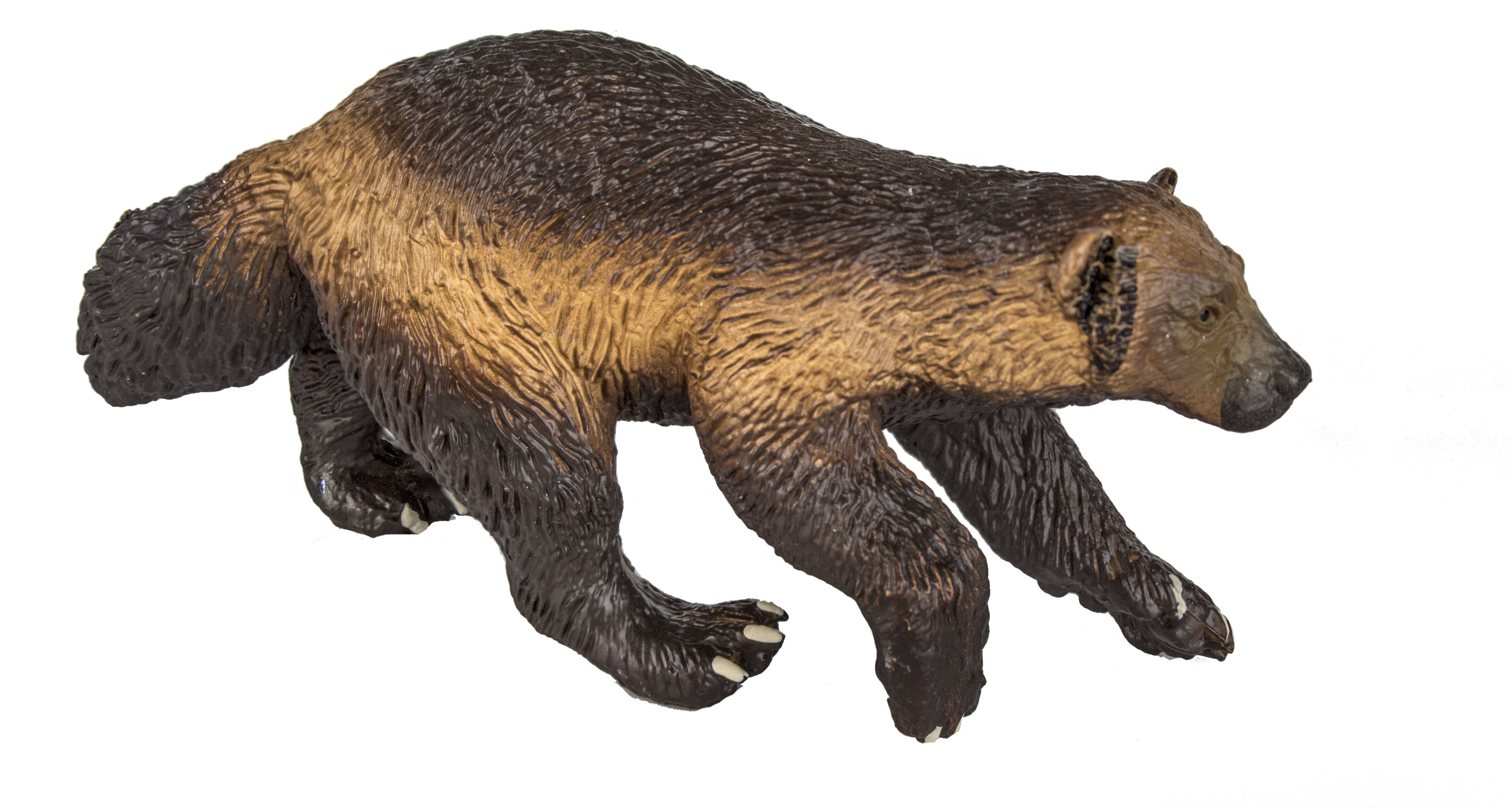 Safari Ltd. Wolverine Figurine - Lifelike 3.75" Model Figure - Educational Toy for Boys, Girls, and Kids Ages 3+