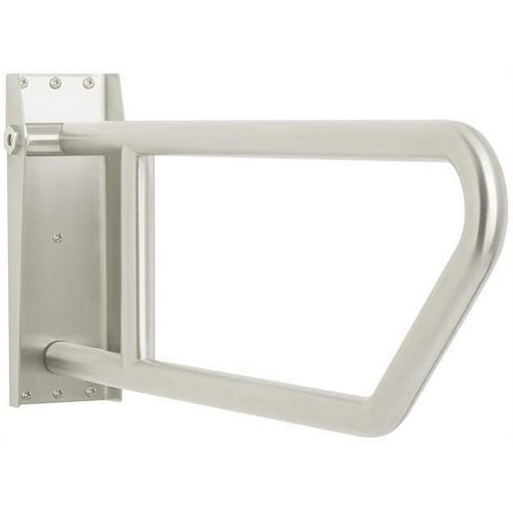 Seachrome 30" Lifestyle & Wellness® Swing-Up Bathroom Handicap Grab Bar, Satin Finish