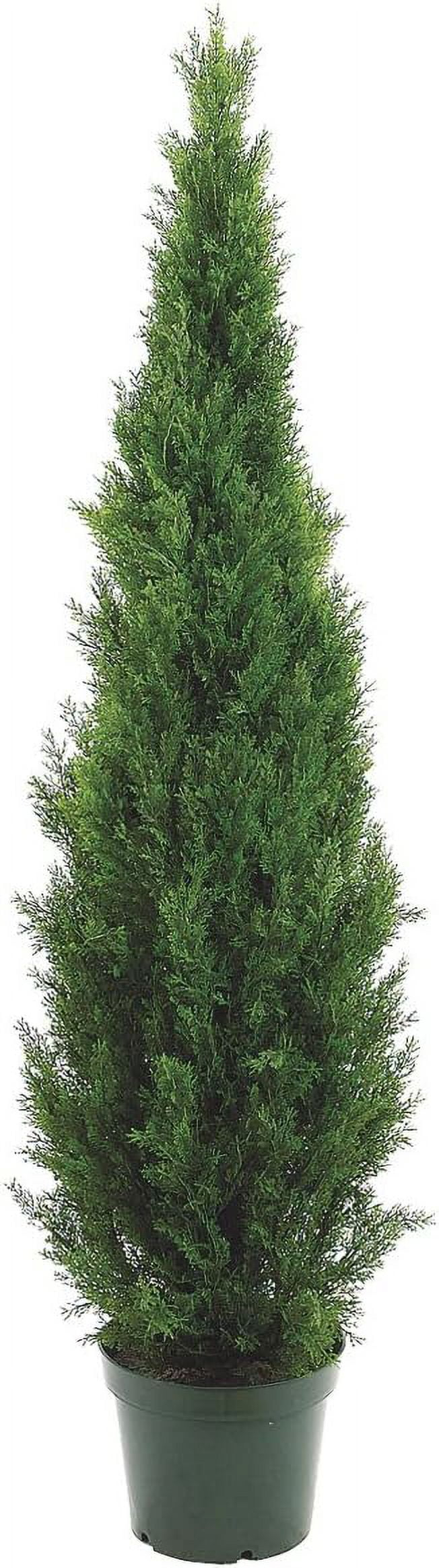 Silk Décor  Topairy in Plastic Pot, 72-Inch, Green