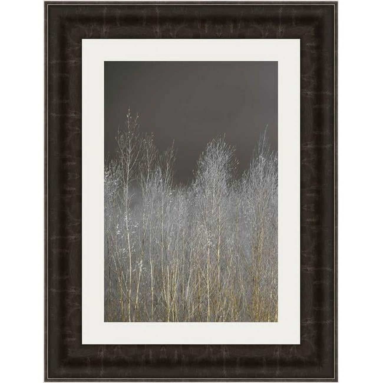 25 x 19 in. Silver Forest II Framed Fine Art Print
