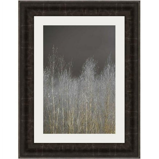 25 x 19 in. Silver Forest II Framed Fine Art Print