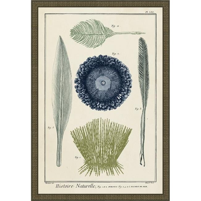 Highland Dunes 'Ocean Oddity II' Framed Graphic Art | Wayfair