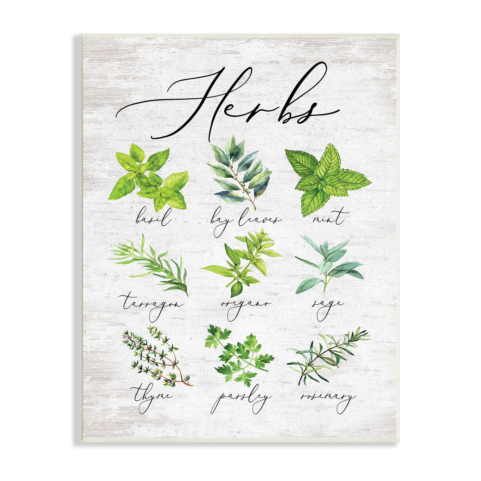 Stupell Indtries Kitchen Herb Reference Chart Garden Fresh Home Seasoning,10 x 15,Design by Lettered and Lined