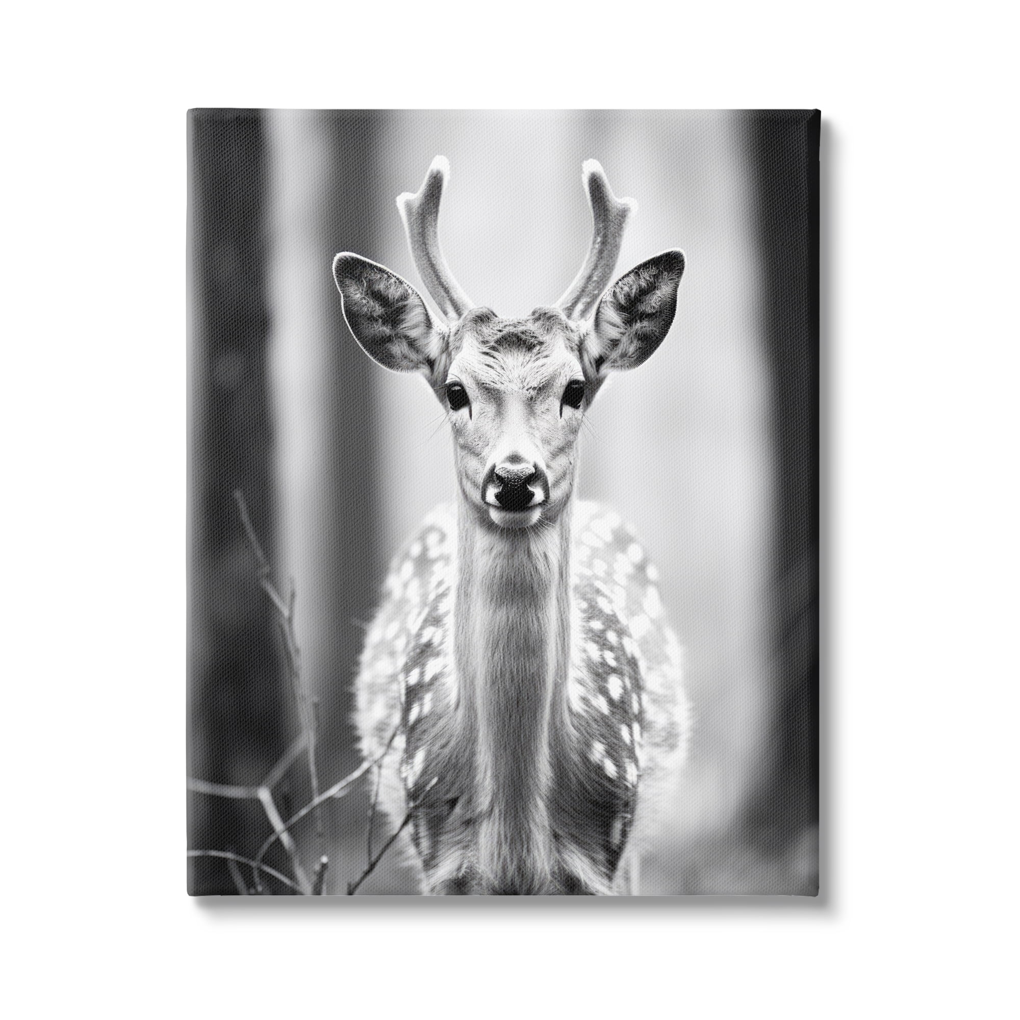 Stupell Industries Baby Fawn Photography Animals & Insects Photography Gallery Wrapped Canvas Art Print Wall Art, 16 x 20