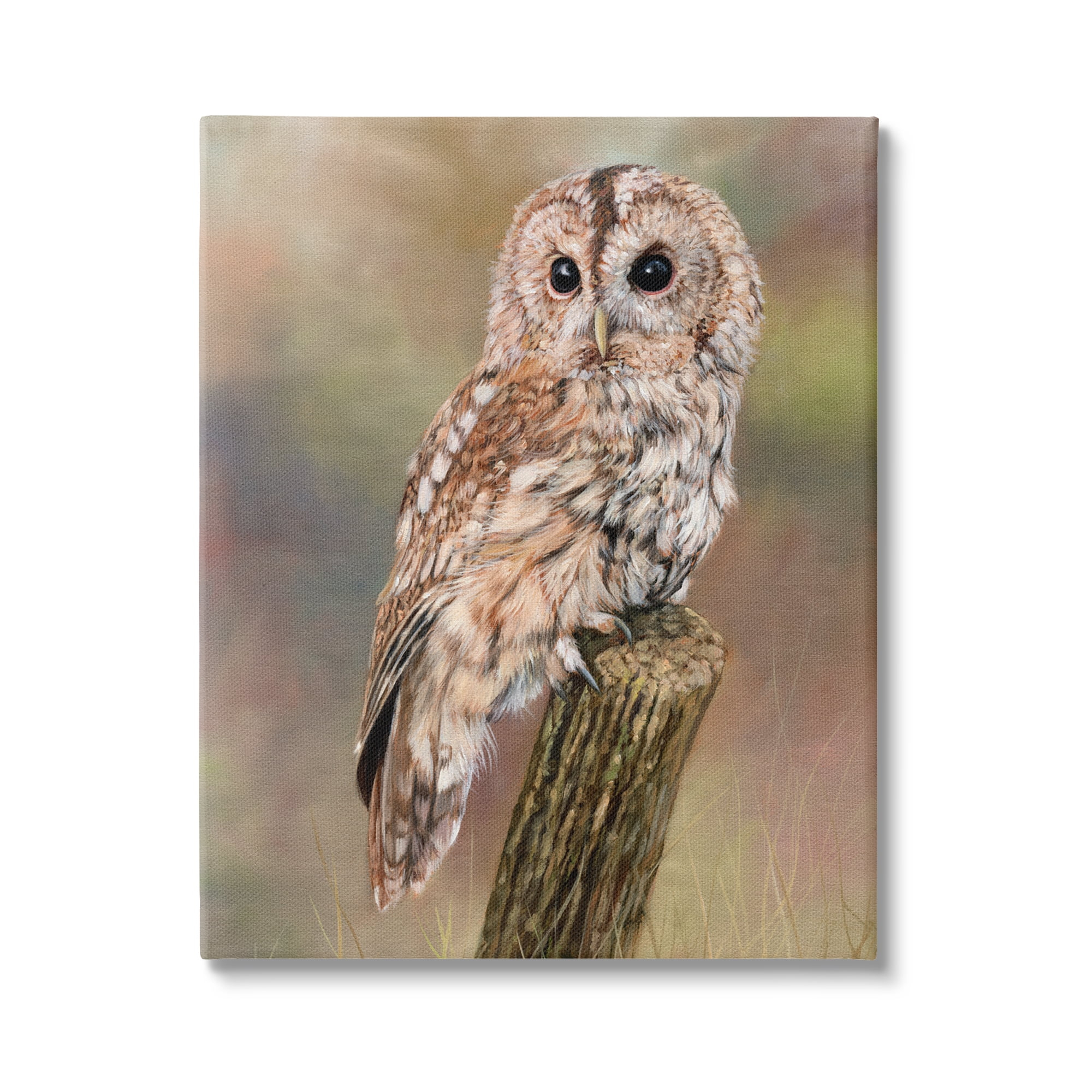 Stupell Industries Brown Tawny Owl Perched Intricate Woodland Wildlife Painting Painting Gallery Wrapped Canvas Print Wall Art, Design by David Stribbling