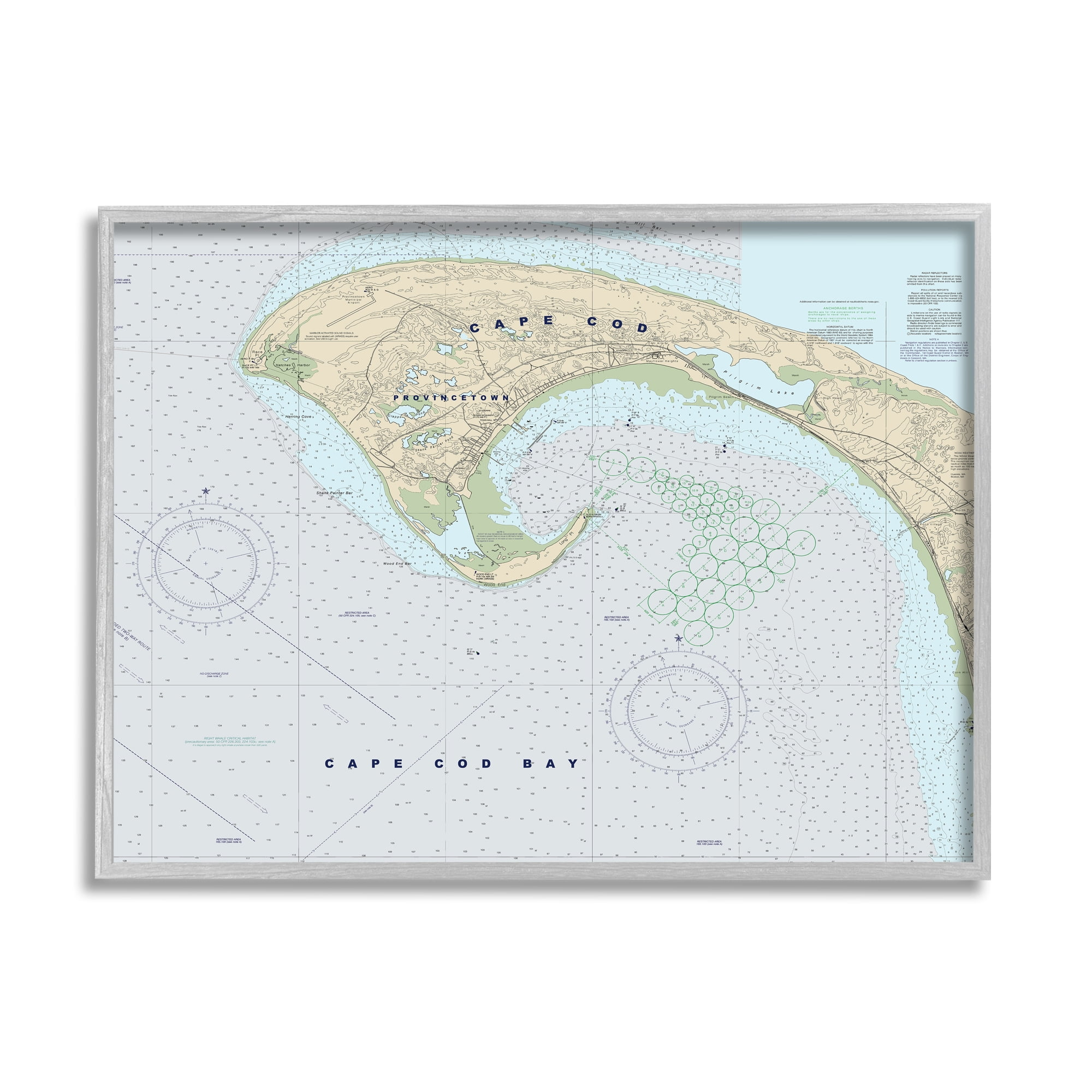 Stupell Industries Cape Cod Massachusetts Cartography Traditional Nautical Map, 16 x 20, Designed by Daphne Polselli