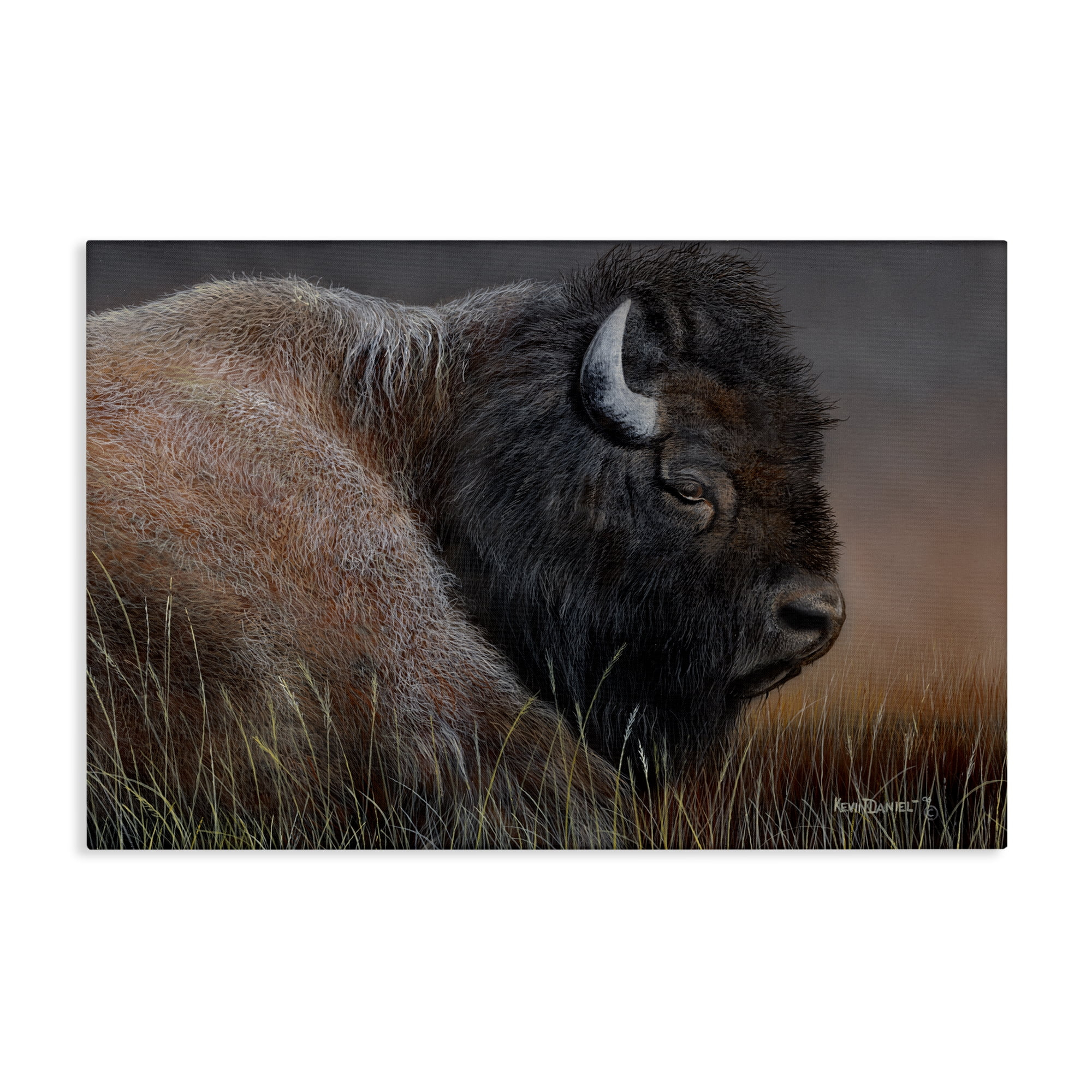 Stupell Industries Detailed Bison Close Up Animals Painting Wrapped Canvas Art Print Wall Art, 24 x 16