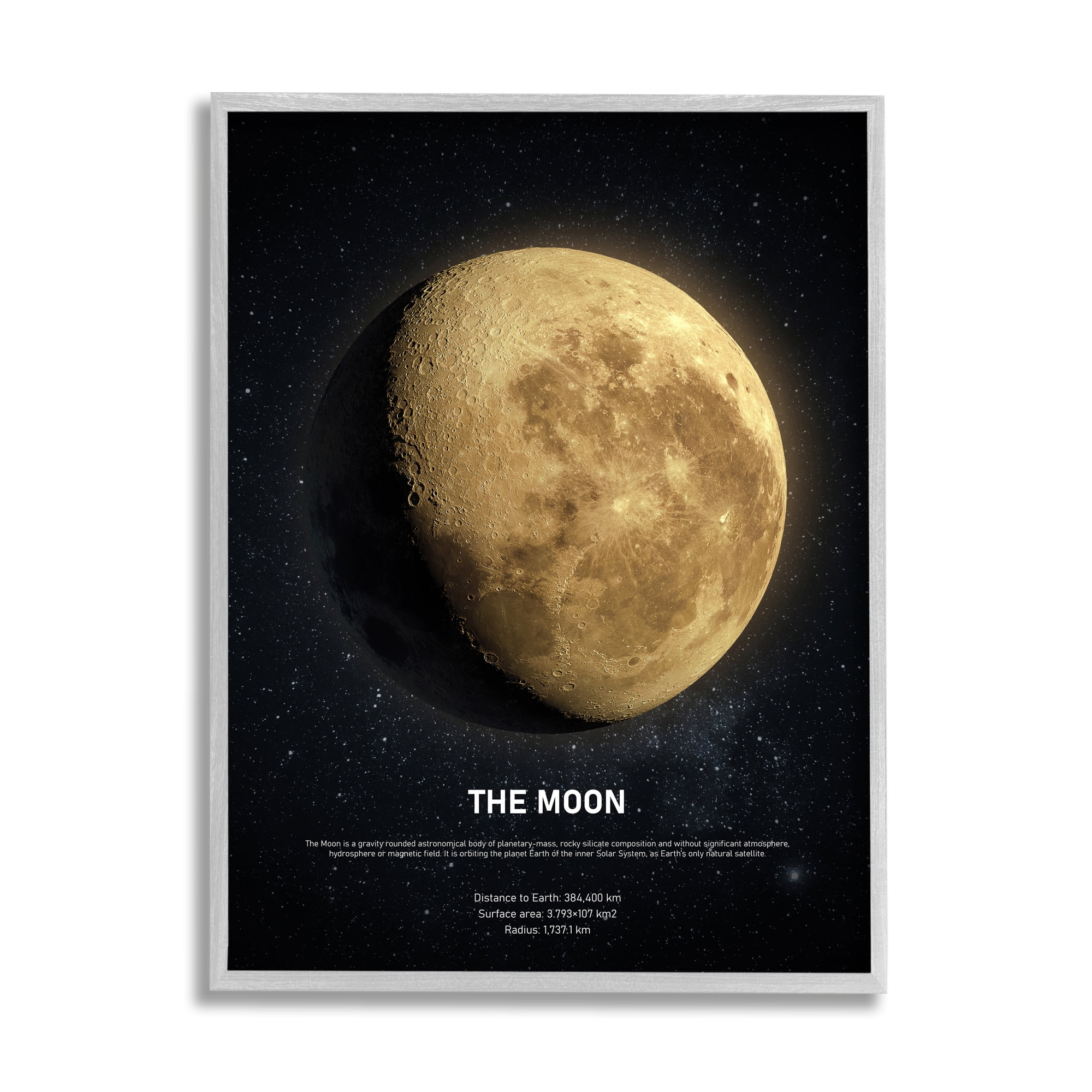 Stupell Industries Earth's Moon Celestial Facts Outer Space Infographic, 16 x 20, Designed by Design Fabrikken