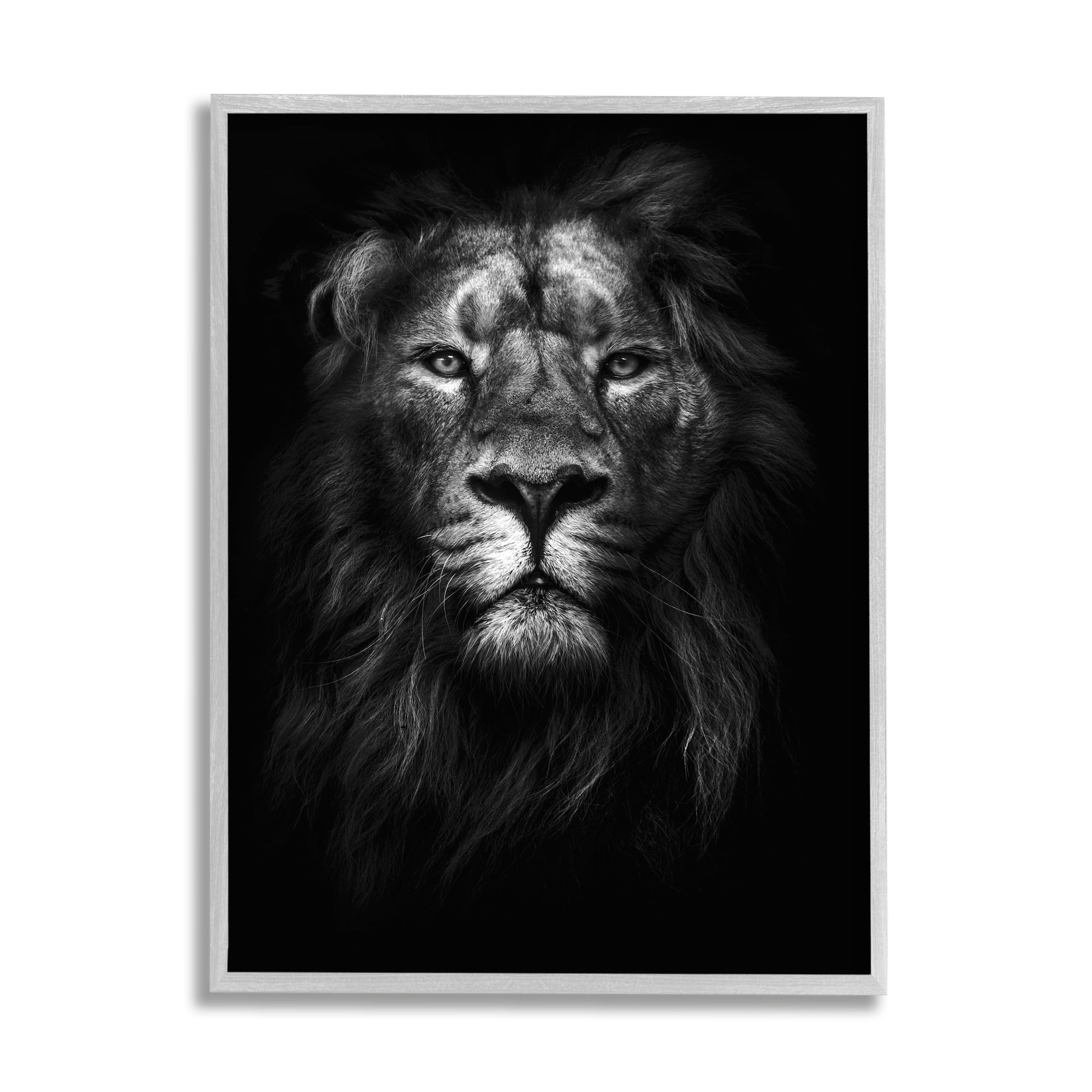 Stupell Industries King of the Jungle Lion In Shadows Black and White Photography, 16 x 20,Design by Design Fabrikken