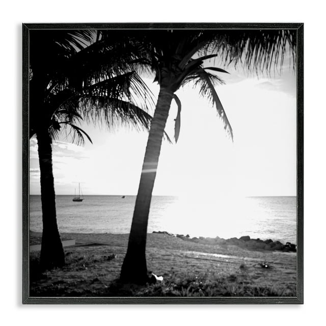Stupell Industries Palm Tree Silhouettes Coastal Photography Black Framed Art Print Wall Art, 17 x 17