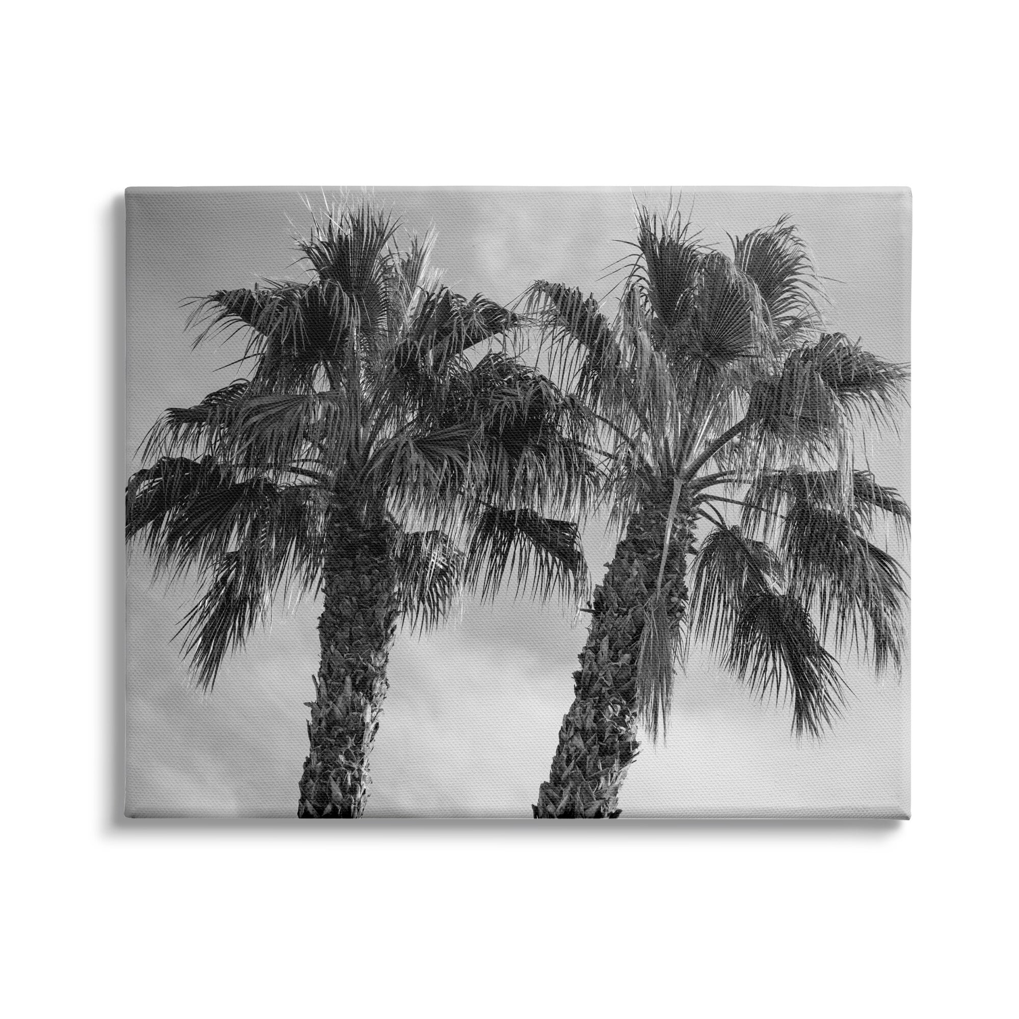Stupell Industries Tall Tropical Palm Trees Black White Photography, 20 x 16,Design by Matheson