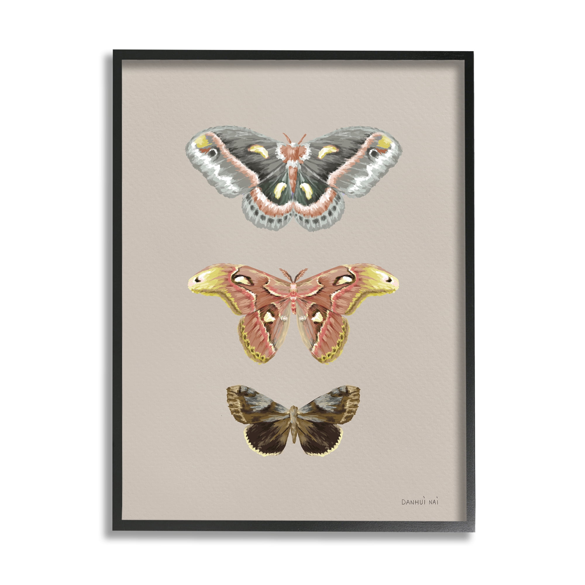 Stupell Industries Vintage Moth Specimens Animals & Insects Painting Black Framed Art Print Wall Art, 24 x 30