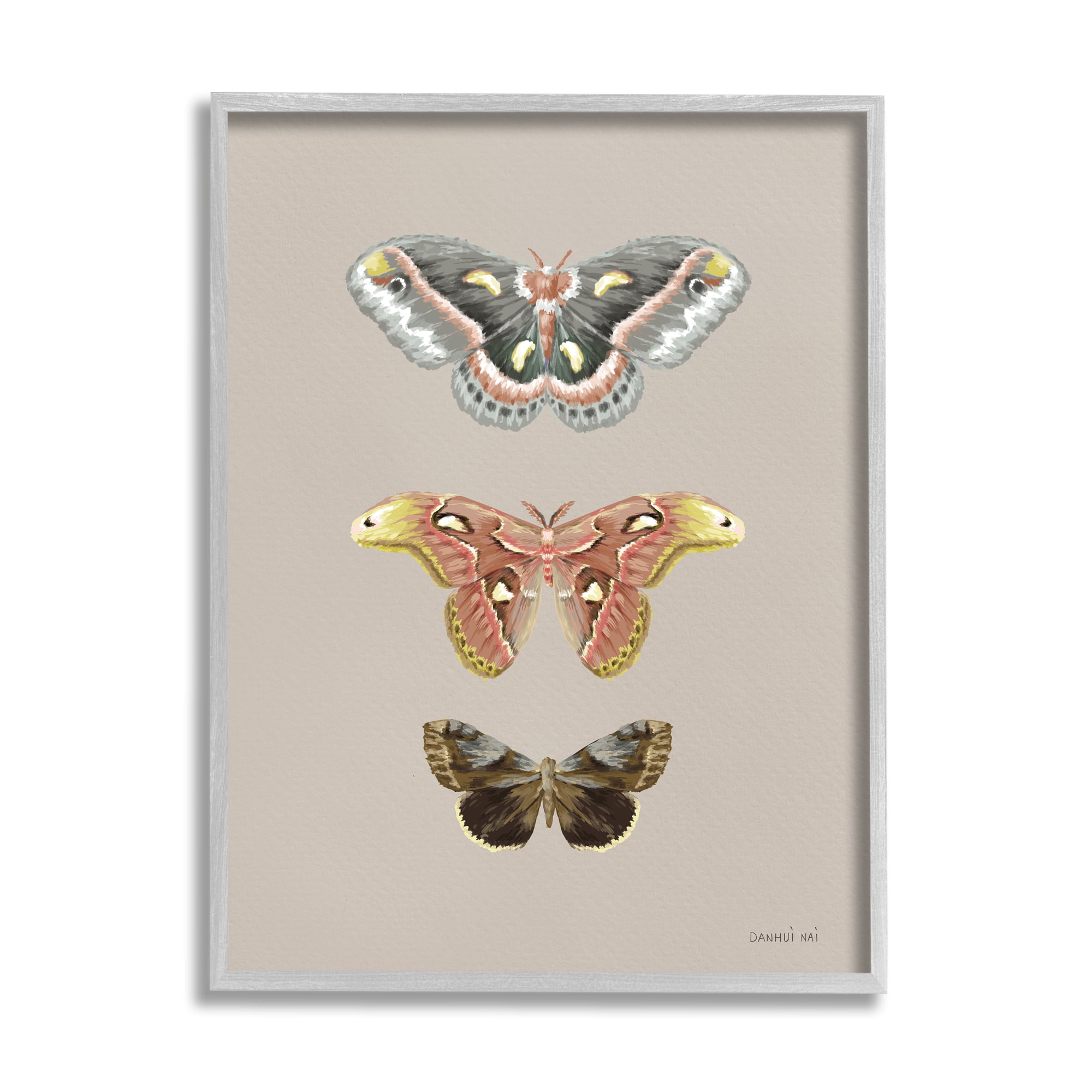 Stupell Industries Vintage Moth Specimens Animals & Insects Painting Gray Framed Art Print Wall Art, 11 x 14