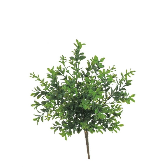Sullivans Artificial Boxwood Plant 12"H Green