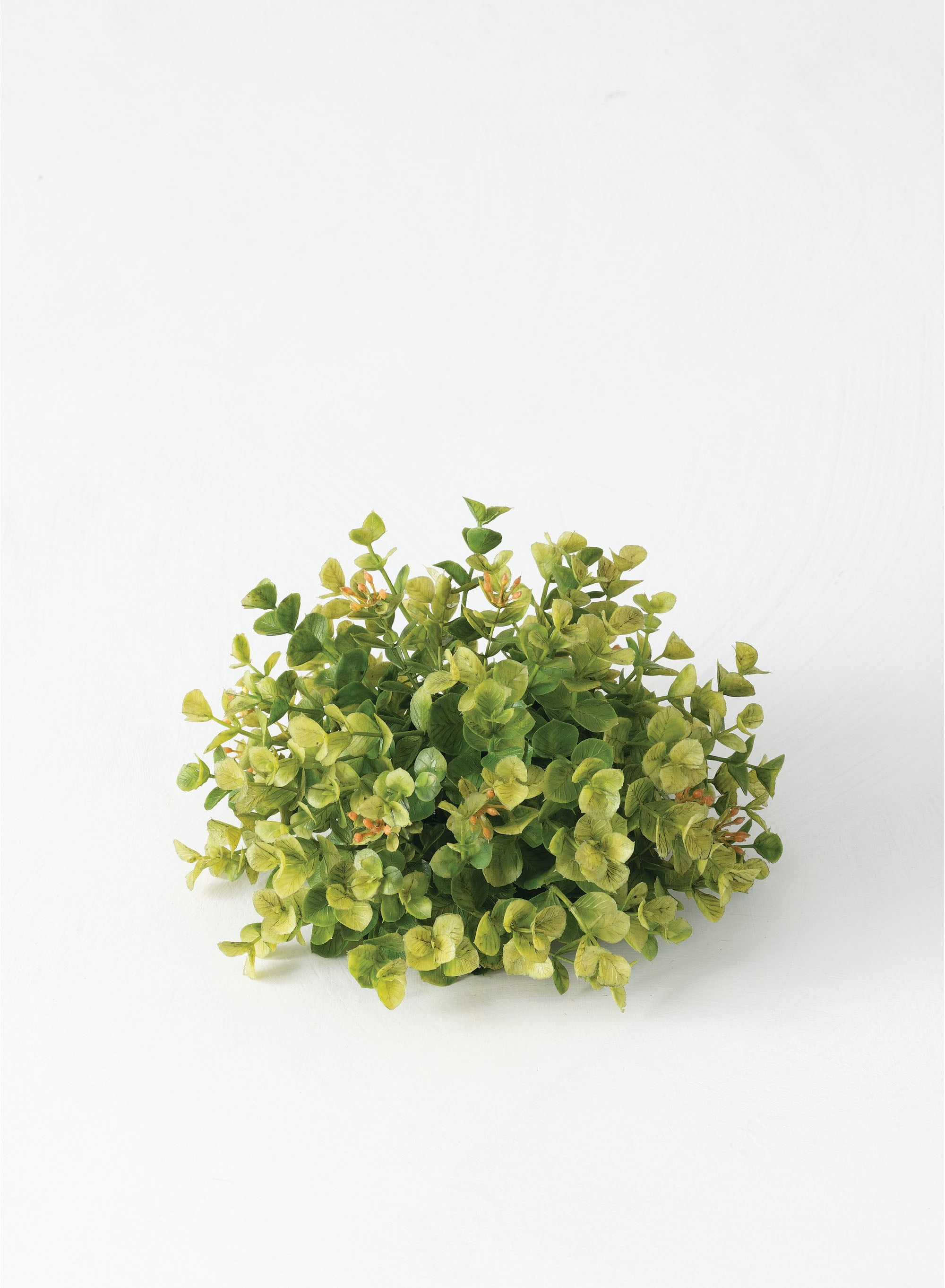 Sullivans New England Boxwood 1/2 Orb Decorative Easter Filler 4.5"H Green